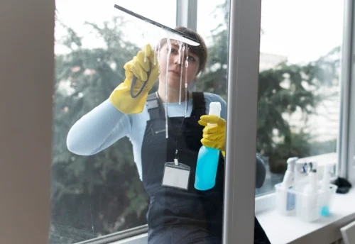 Nettoyage de vitres intérieures et extérieures à Saint-Georges-d'Aurac